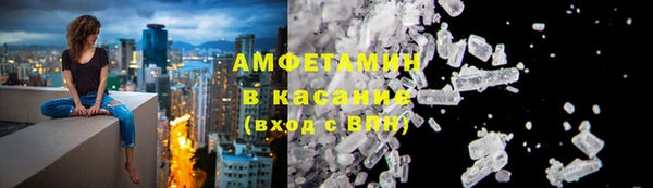 индика Богданович